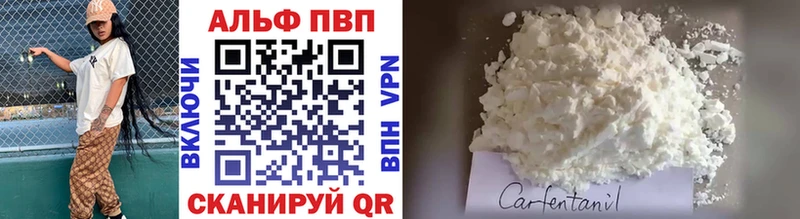 Купить закладки  Северобайкальск  Alfa_PVP крисы CK 