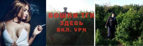 винт Инта