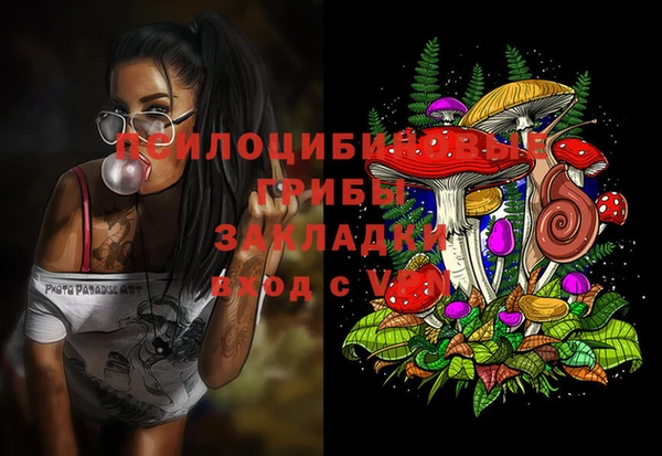трава Иннополис