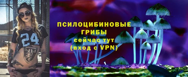 кокаин премиум Инсар